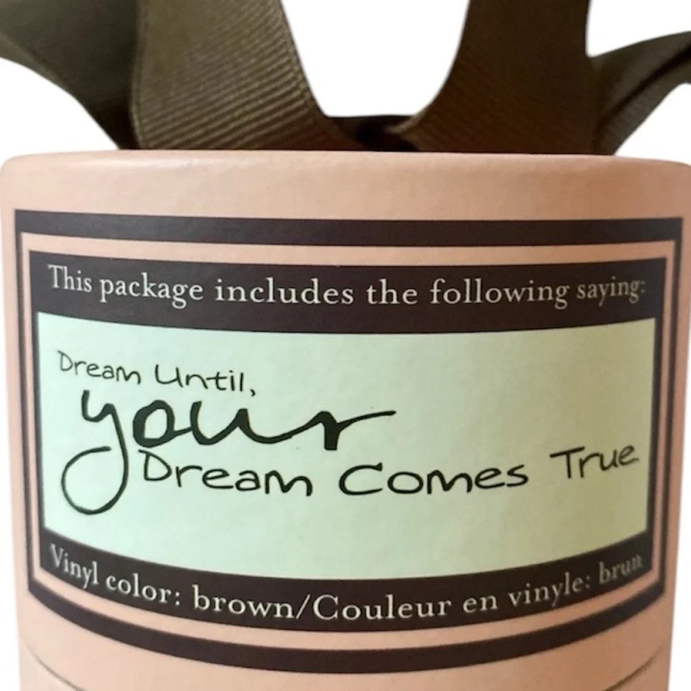 Removable Vinyl Lettering Wall Decor “Dream Until Your Dreams Come True”